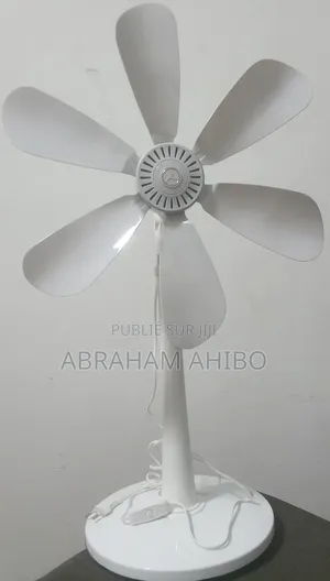 Ventilateur Eco