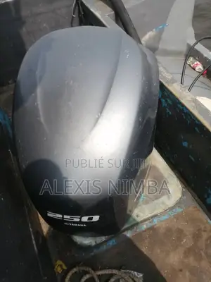 En Vente Moteur 250cv Yamaha Bateau