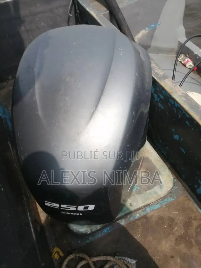 En Vente Moteur 250cv Yamaha Bateau