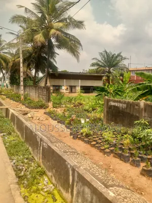 Terrain À Vendre À Cocody Danga