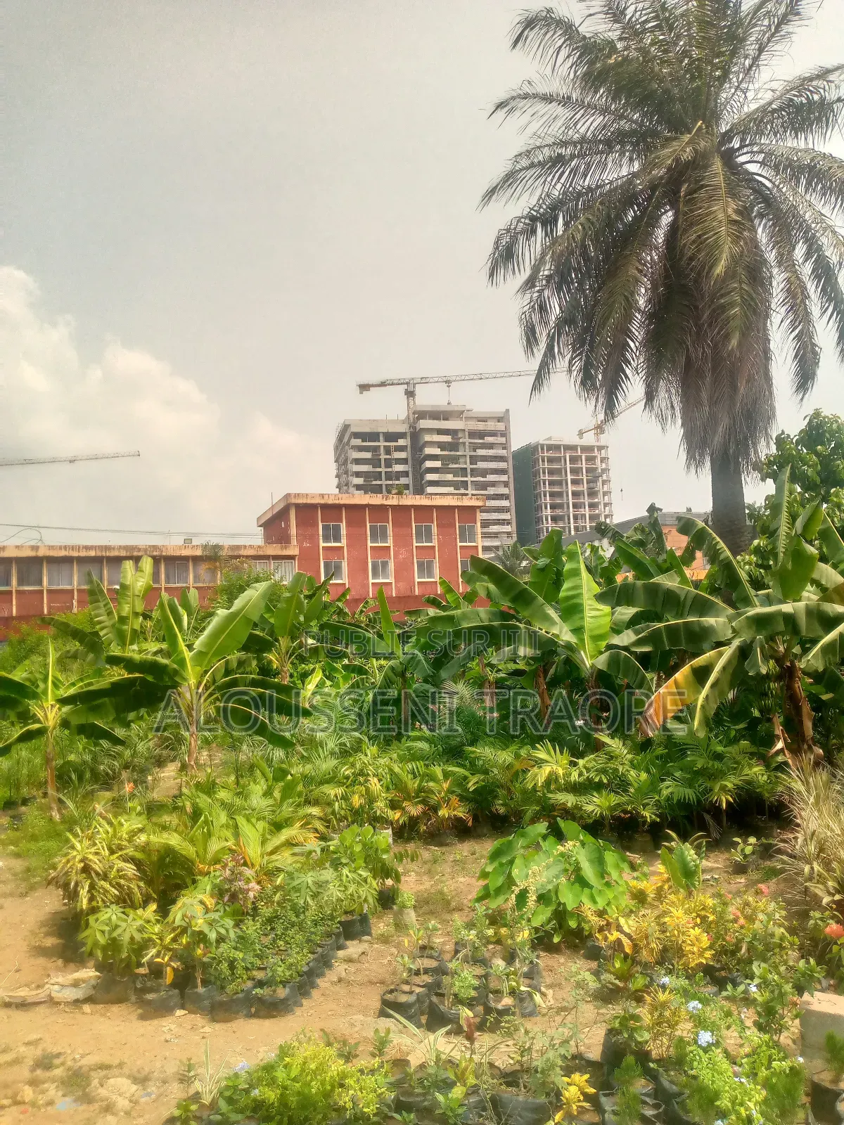 Terrain À Vendre À Cocody Danga