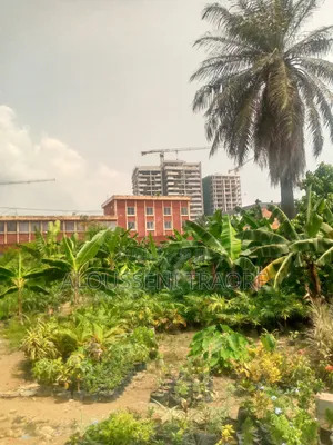 Terrain À Vendre À Cocody Danga