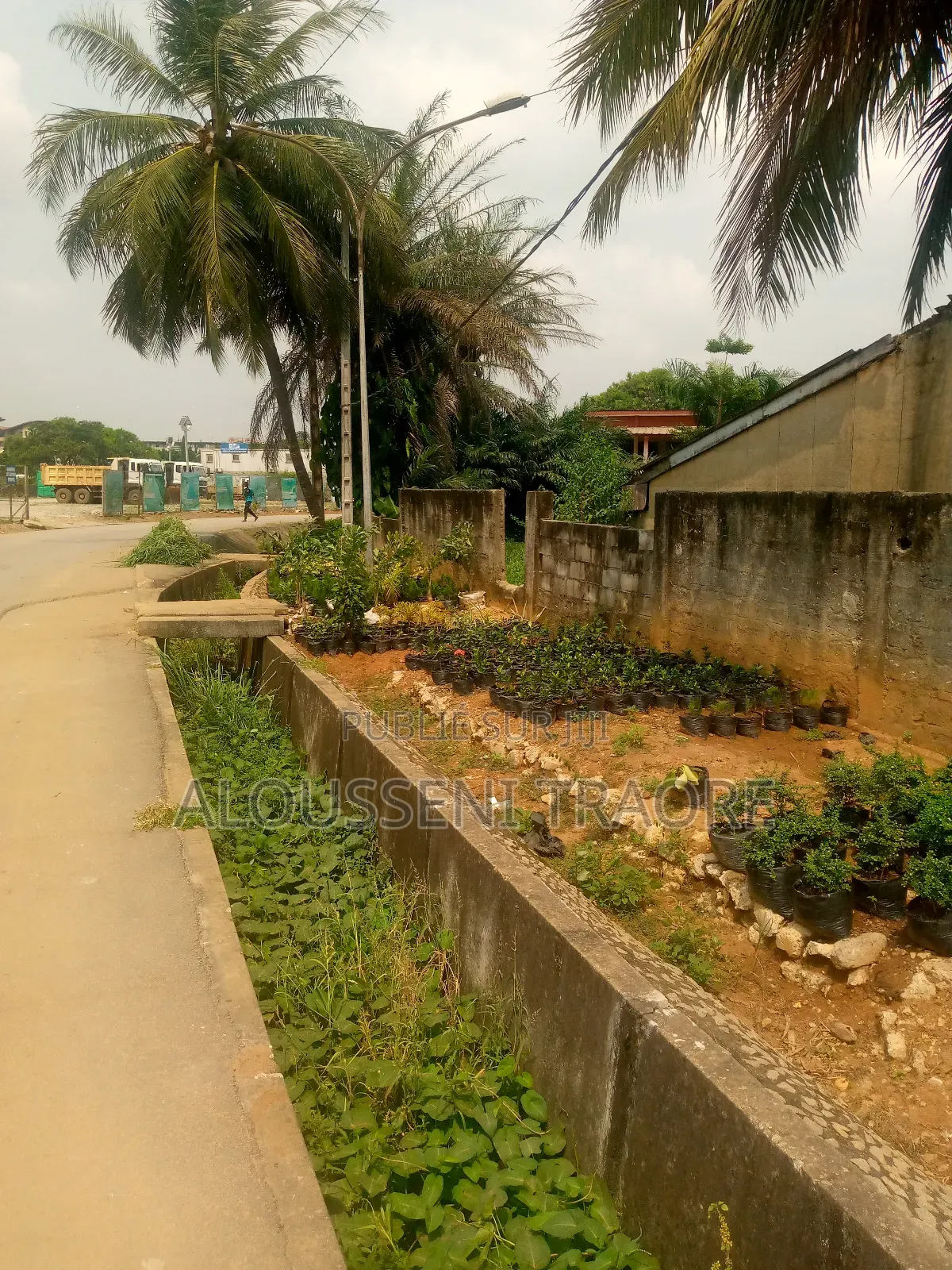 Terrain À Vendre À Cocody Danga