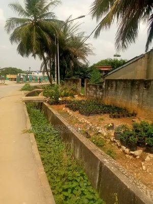 Terrain À Vendre À Cocody Danga