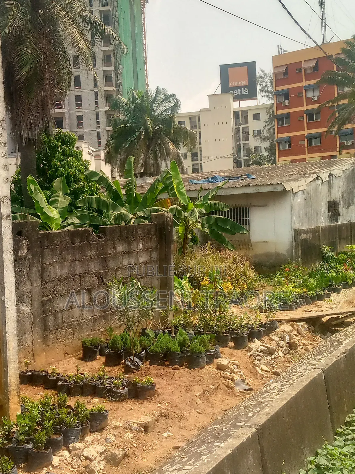 Terrain À Vendre À Cocody Danga