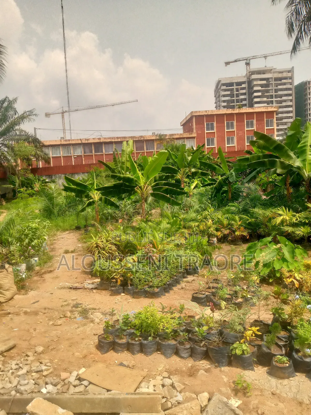 Terrain À Vendre À Cocody Danga