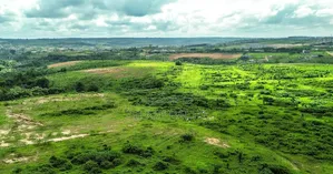 Vente De Terrain Angre Djibi Extension