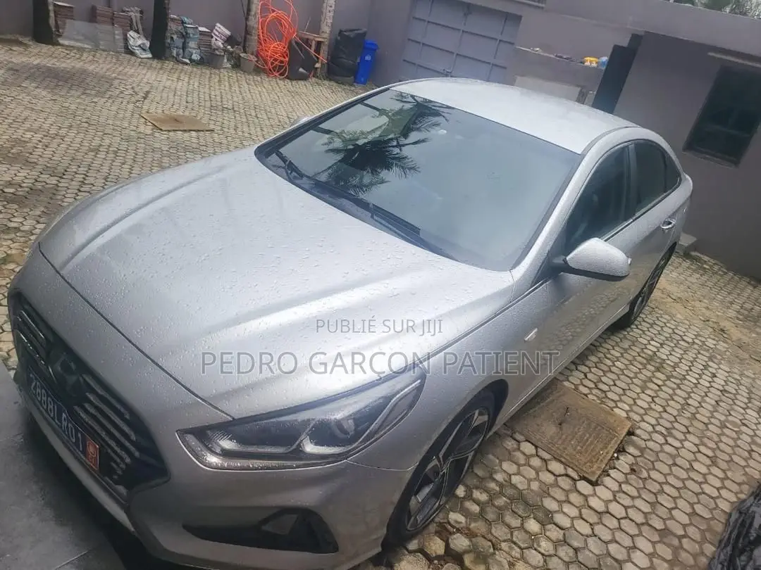 Hyundai Elantra 2019 Gris