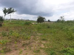 Terrain a Vendre Azaguié Ahoua