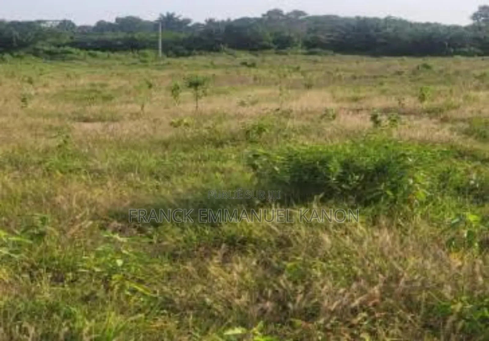 Terrain a Vendre Thomasset