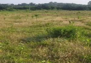 Terrain a Vendre Thomasset