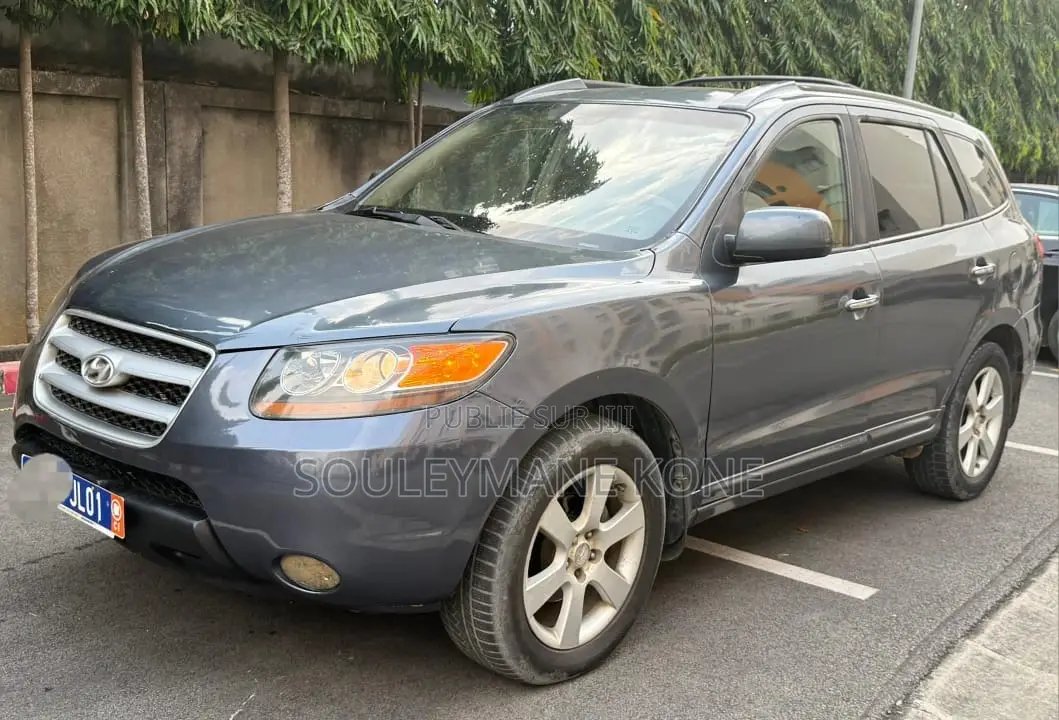 Hyundai Santa Fe 2007 Gris