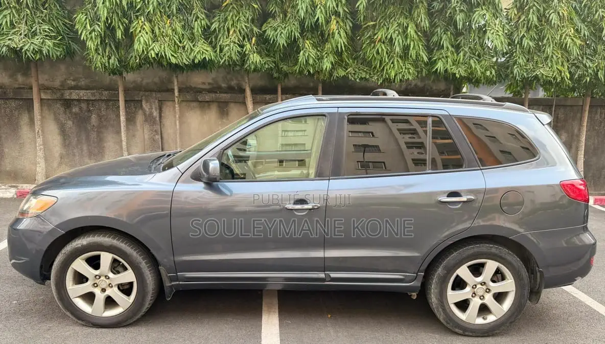 Hyundai Santa Fe 2007 Gris