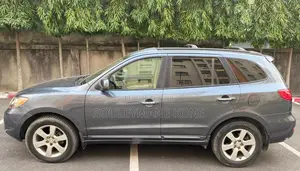 Hyundai Santa Fe 2007 Gris