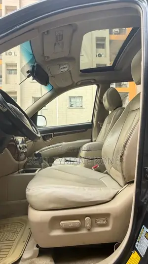 Hyundai Santa Fe 2007 Gris