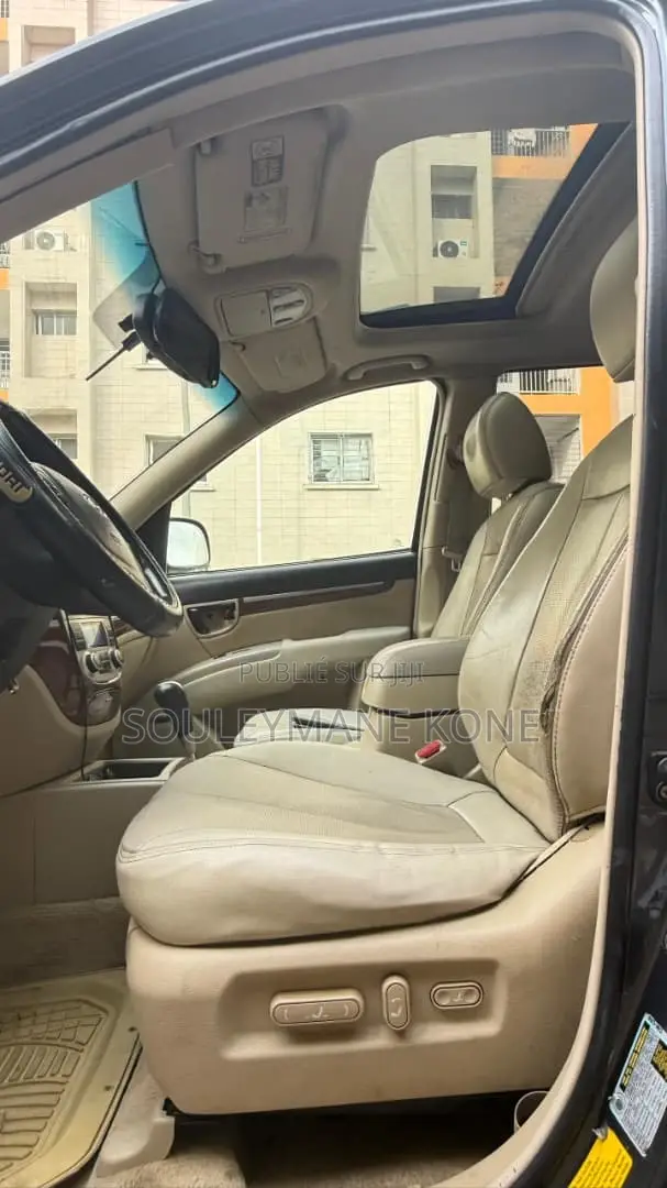 Hyundai Santa Fe 2007 Gris