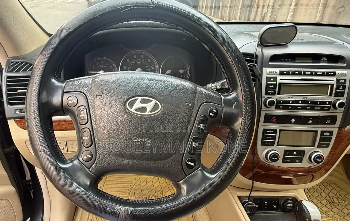 Hyundai Santa Fe 2007 Gris