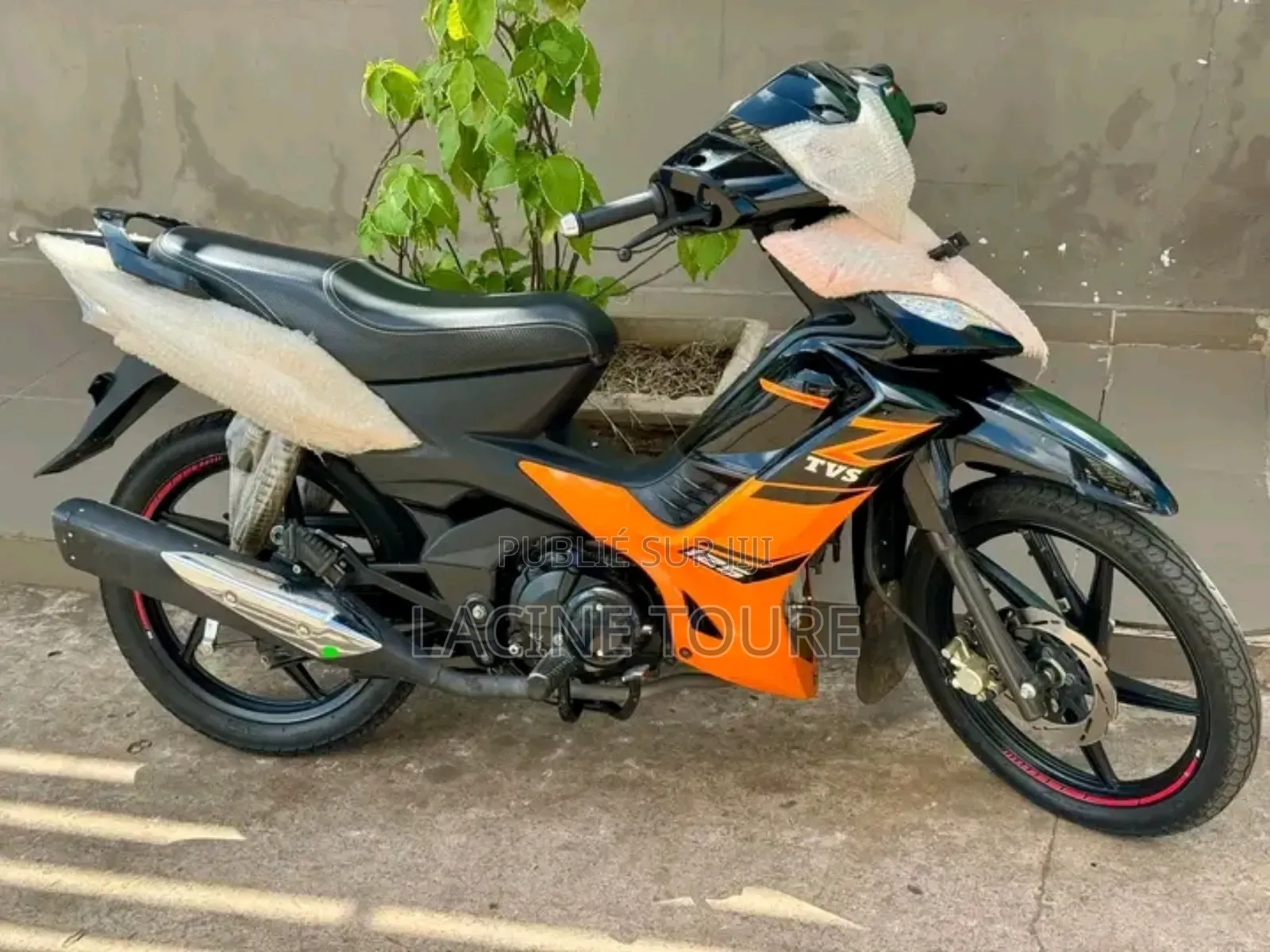 New TVS Autre 2024 Autre