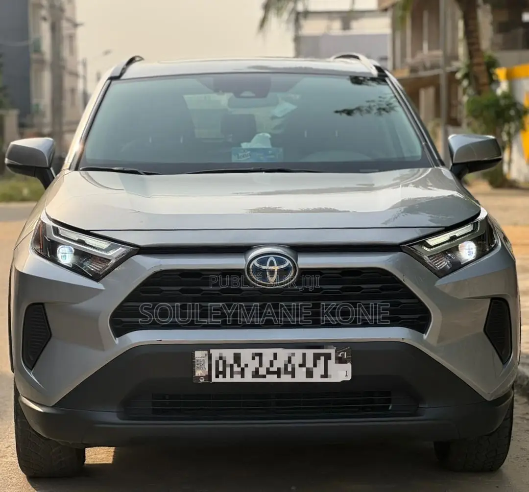Toyota RAV4 2023 Gris