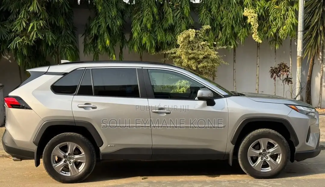 Toyota RAV4 2023 Gris