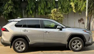 Toyota RAV4 2023 Gris