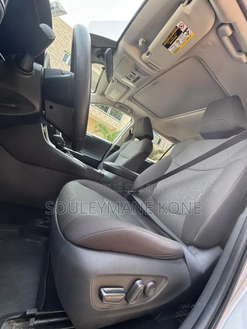 Toyota RAV4 2023 Gris