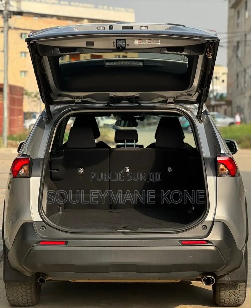 Toyota RAV4 2023 Gris