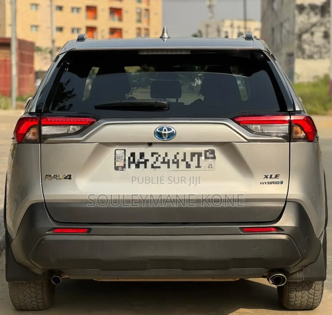 Toyota RAV4 2023 Gris