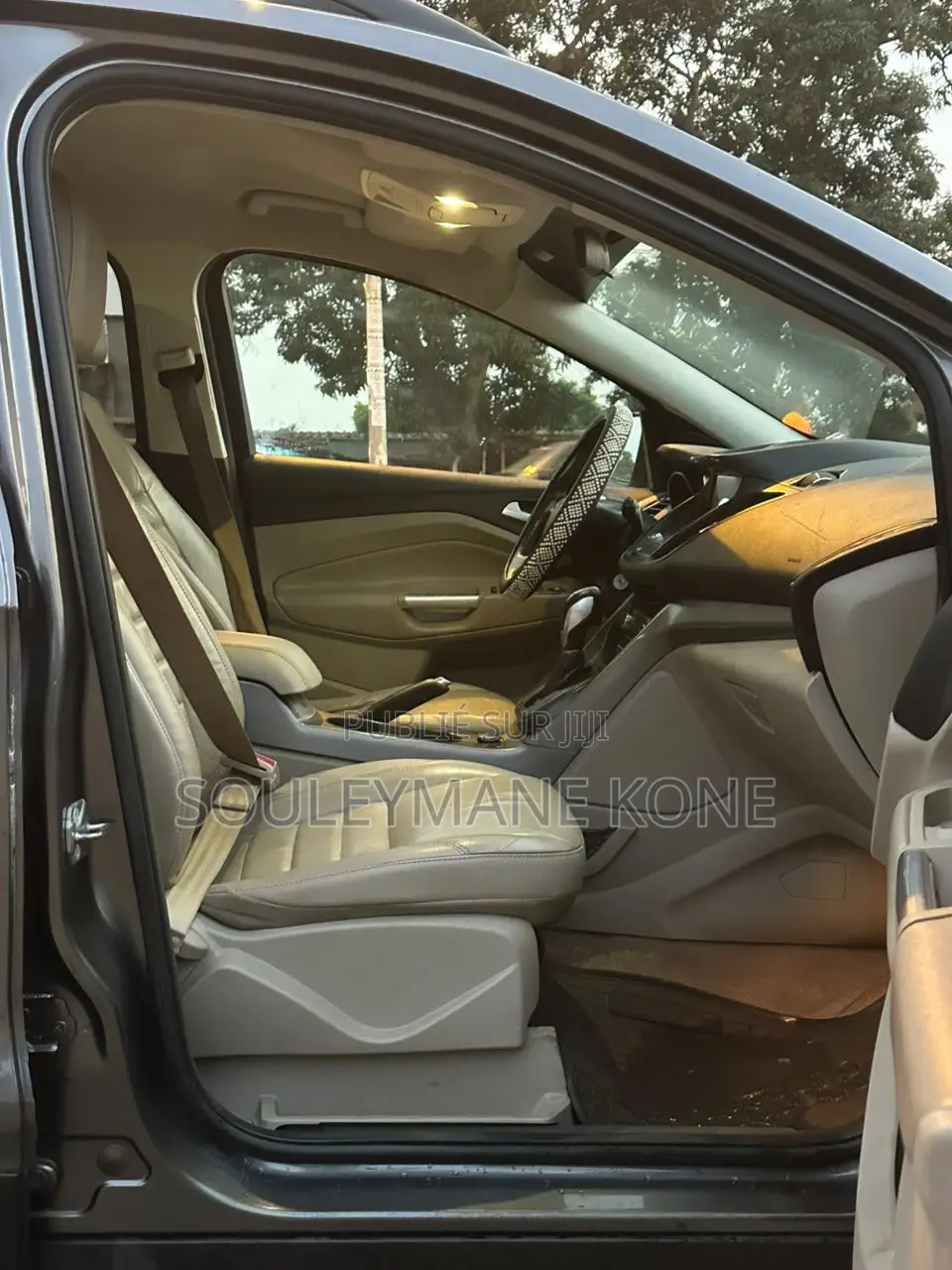 Ford Escape 2017 Gris