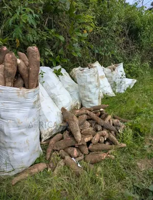 Manioc Doux