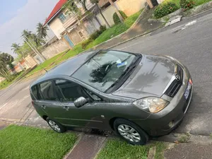 Toyota Corolla 2003 Gris