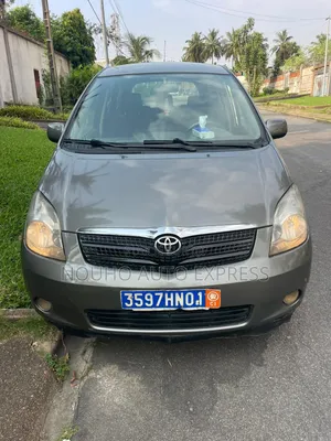 Toyota Corolla 2003 Gris