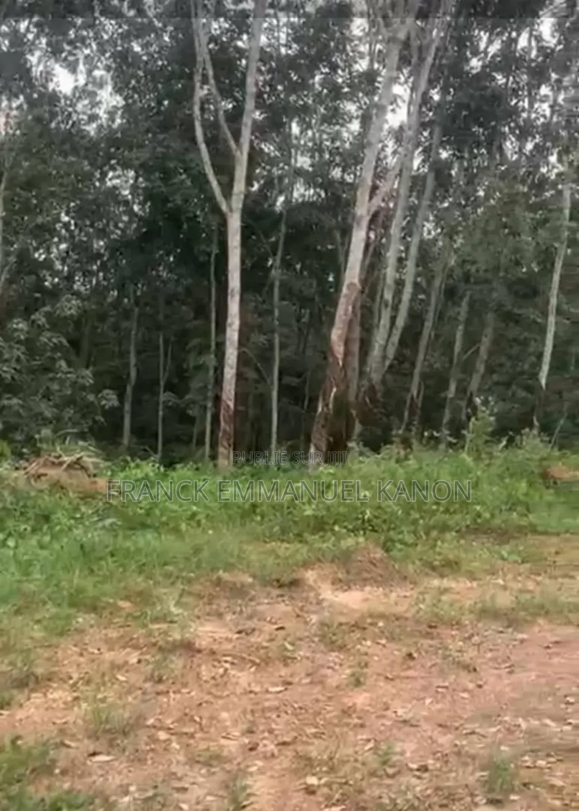 Terrain 500m2 Azaguié Sur l'Axe Adzope