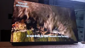 Contact With Me Sonic Tv Call Me