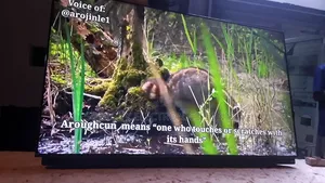 Contact With Me Sonic Tv Call Me