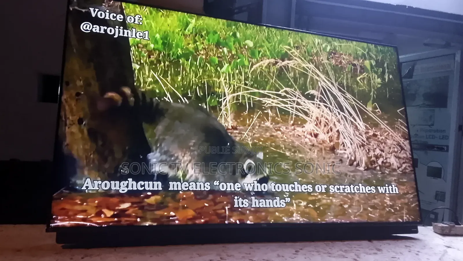 Contact With Me Sonic Tv Call Me