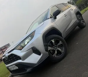 Toyota RAV4 LE AWD 2020 Gris