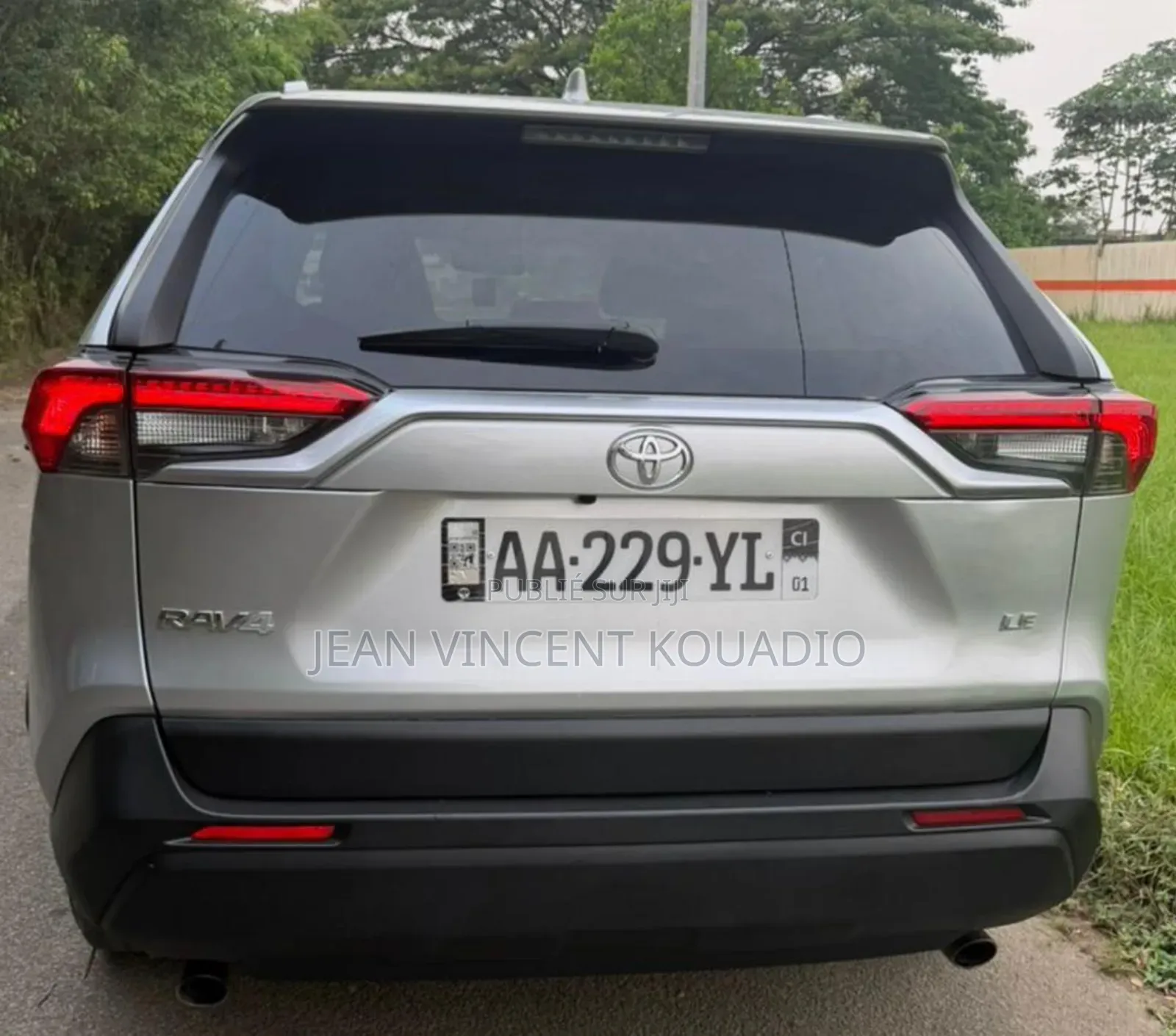 Toyota RAV4 LE AWD 2020 Gris