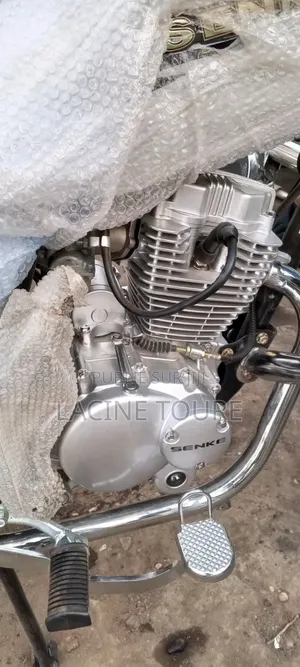 Neuf Autre 2024 Autre