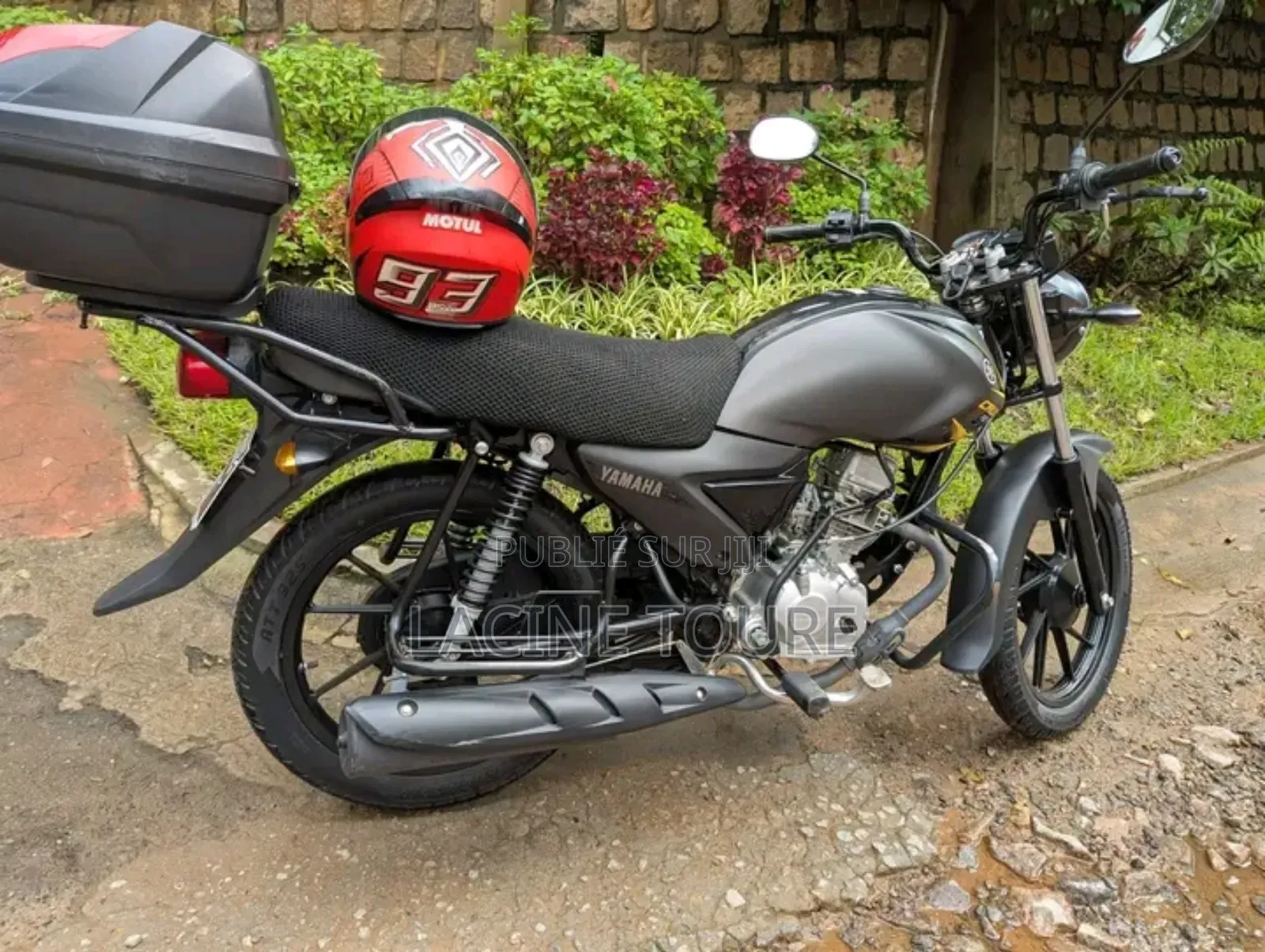 Neuf Autre 2024 Autre