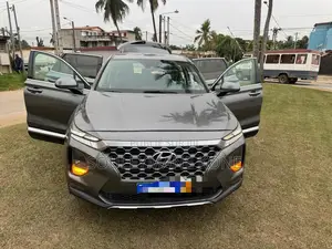 Hyundai Santa Fe 2020 Gris