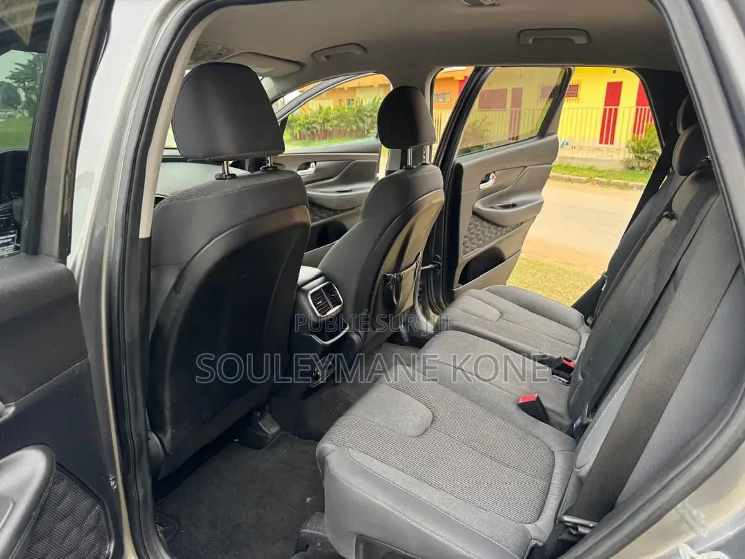 Hyundai Santa Fe 2020 Gris