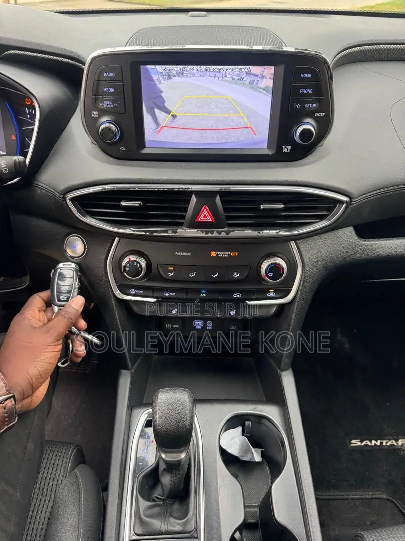 Hyundai Santa Fe 2020 Gris