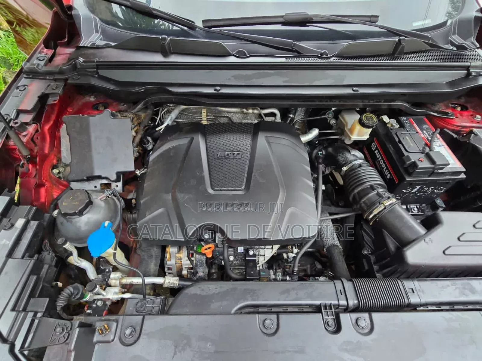 Haval Jolion 2022 Bordeaux