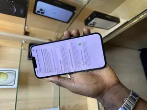 Apple iPhone 13 Pro Max 256 GB Bleu