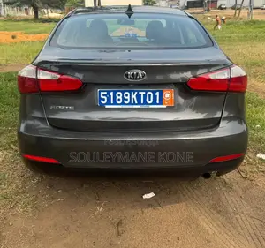 Kia Forte 2016 Gris