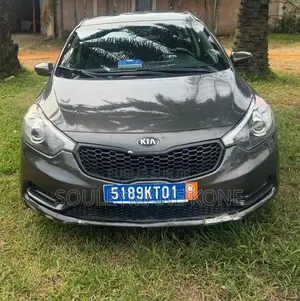 Kia Forte 2016 Gris