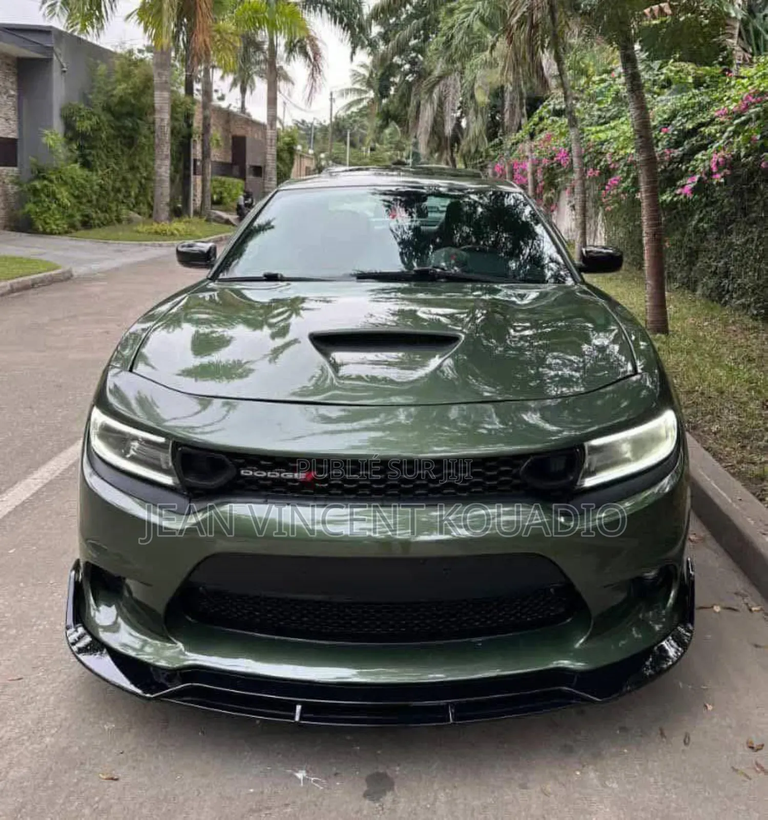 Dodge 600 2019 Vert
