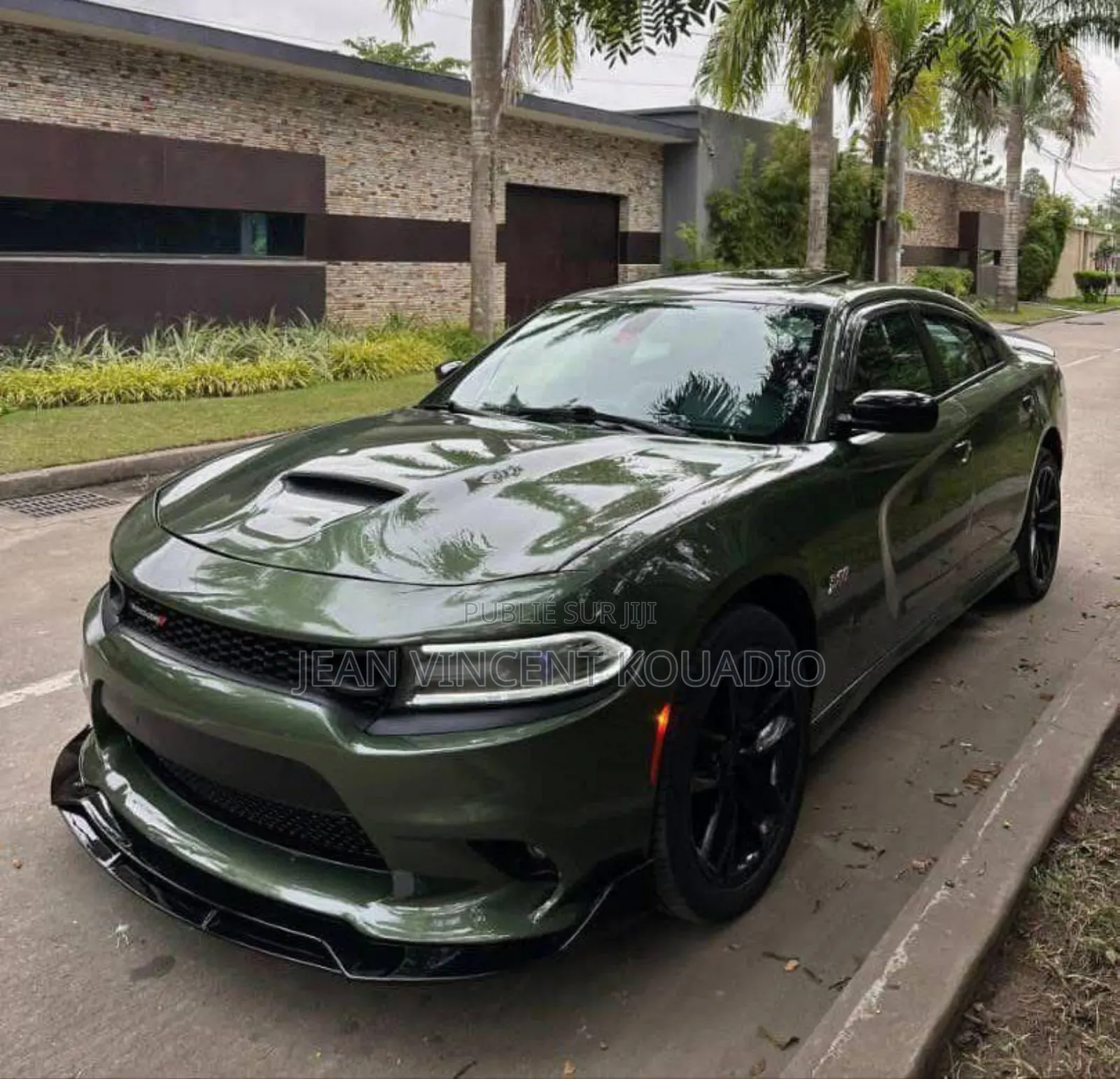 Dodge 600 2019 Vert