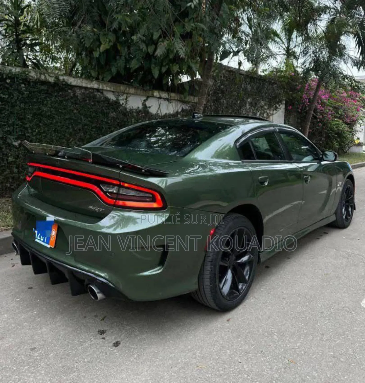 Dodge 600 2019 Vert
